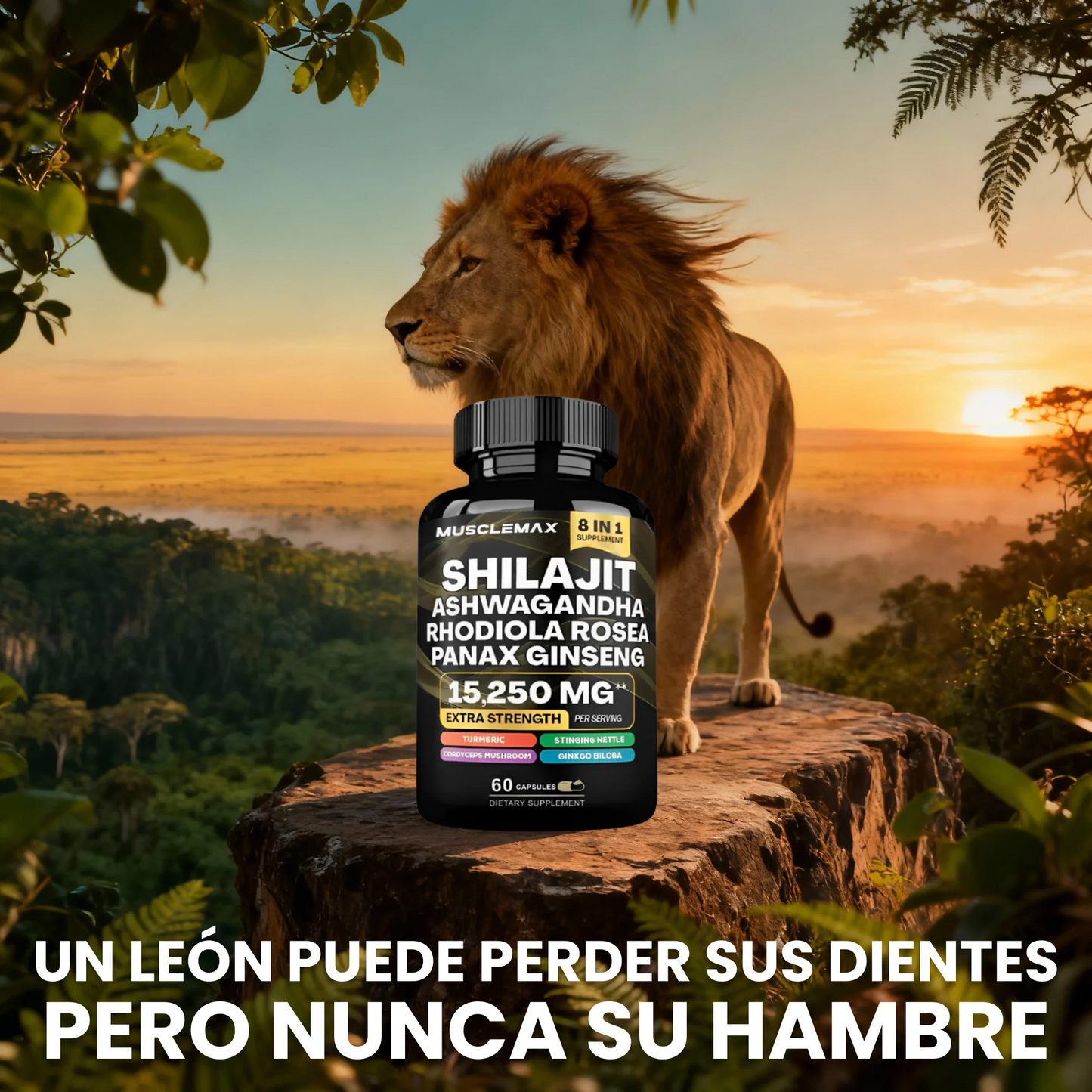 MUSCLEMAX TITAN 8 en 1 - SHILAJIT